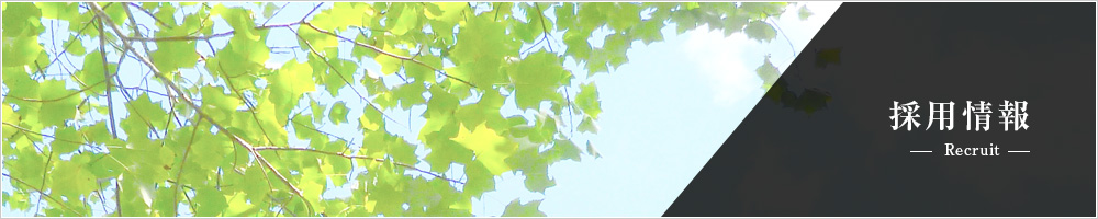  &raquo; テスト－仕事を知る－採用情報